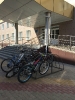 Accomodation at Belgorod State University