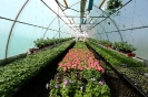 bot_garden_2