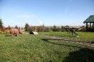 bot_garden_6