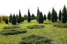 bot_garden_9