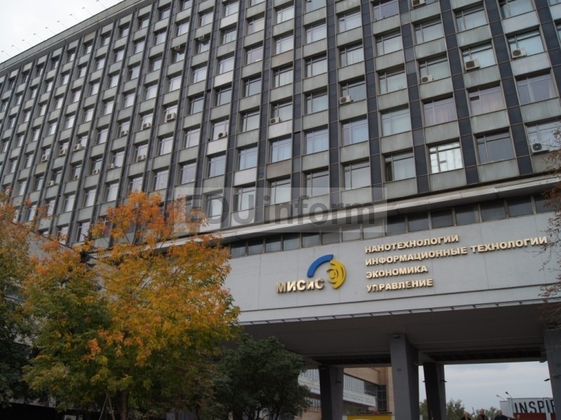 233.jpg