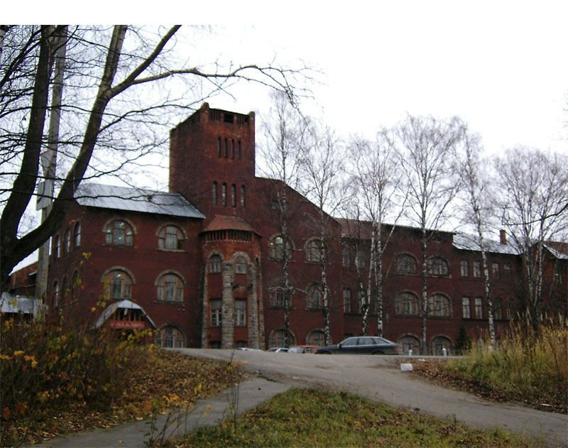 347.jpg