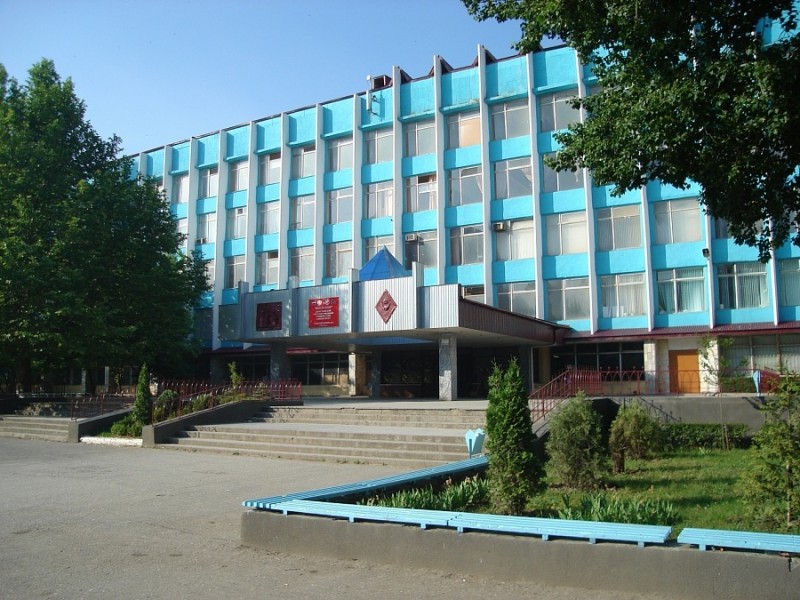 351.jpg