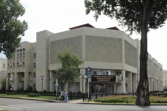 463.jpg