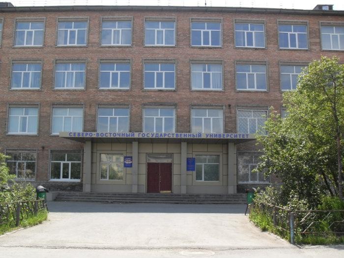 466.jpg
