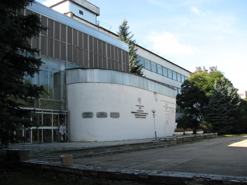 481.jpg
