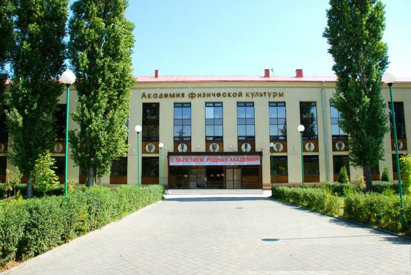 531.jpg